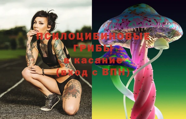 тгк Михайловск