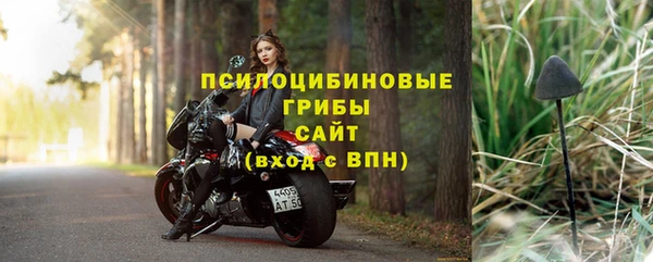 ГАЛЛЮЦИНОГЕННЫЕ ГРИБЫ Наволоки