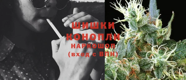 spice Михайлов